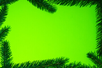 Fototapeta na wymiar Creative layout with twigs of pine needles on a bright green background. Minimal nature is the idea of love.