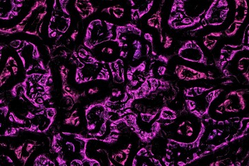 amazing murky reptile decorative digitally made background or texture illustration