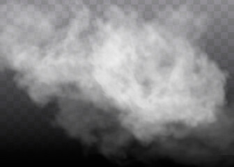 Fog or smoke isolated transparent special effec