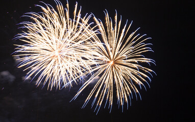 Celebratory fireworks against the dark night sky