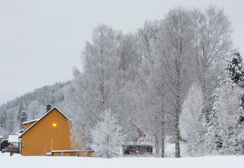 .rural buildings and trees in winter
