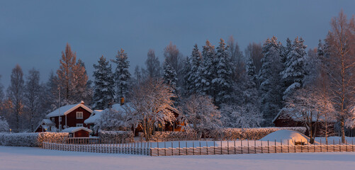 .rural buildings and trees in winter