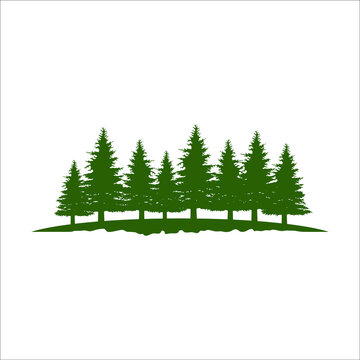 Pine Tree silhouette green vector. Isolated set forest trees on white background.