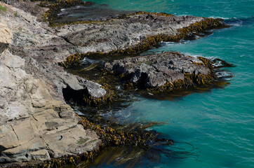 Coastal landscape in Taiaroa Head Wildlife Reserve. Otago Peninsula. Otago. South Island. New Zealand.