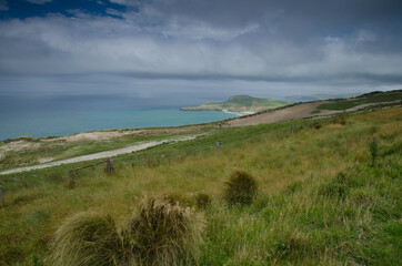 Coastal landscape in Otago Peninsula. Otago. South Island. New Zealand.