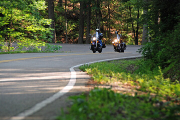 riding twi American motorcycles on winding road through lush green forest