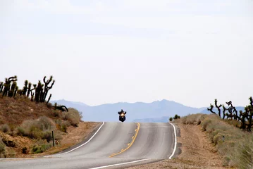 Fototapeten motorcycle riding in high desert on highway through  Joshua trees  © mikesch112