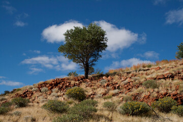 Fototapeta na wymiar Uluru Kata T Juta national park