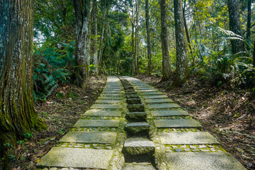 Walking path in a natural mountain park in Taiwan