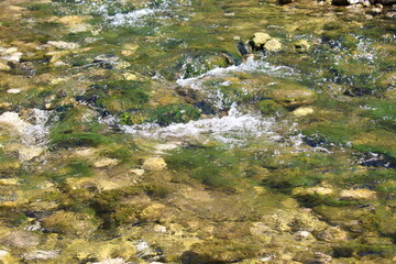 stream in the mountains