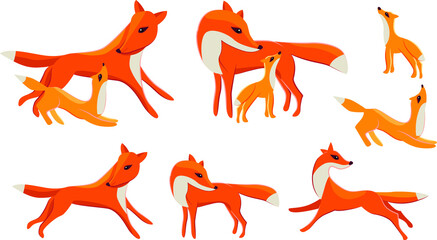 Set with different cute red foxes