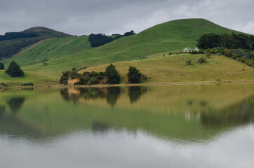 Fototapeta na wymiar Landscape in Hoopers Inlet. Otago Peninsula. Otago. South Island. New Zealand.