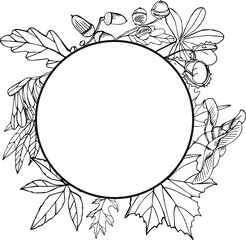 Round frame with different autumn leaves. Blank circle with space for text on white