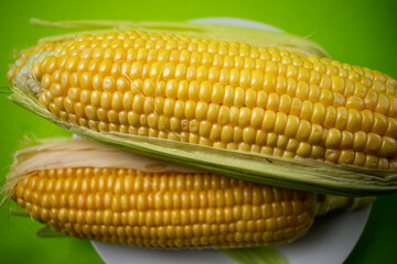 yellow corn on white plate on green background
