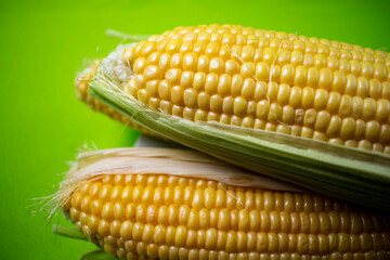 yellow corn on white plate on green background
