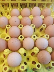 Closeup Fresh and raw chicken eggs . Chicken egg at the market