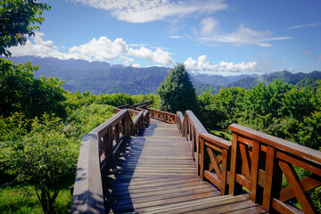 Walking path in Alishan Natural Park