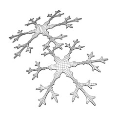 Snowflake winter Christmas falling snow Wireframe low poly mesh vector illustration
