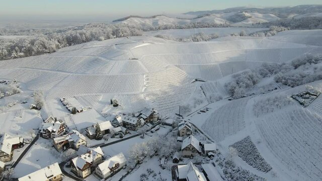 Snowy Suburban Area And Vineyards In Offenburg, Germany On A Sunny Winter Day. aerial drone, tilt-up shot