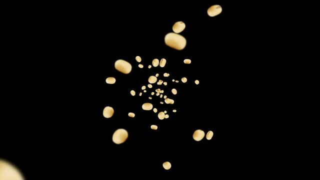Flying many soybeans on black background. Light brown grains. Soya bean and soja. Healthy food. 3D loop animation of soy beans rotating.