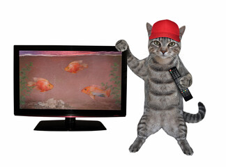 A gray cat with a tv remote control is standing near the television set. White background. Isolated.