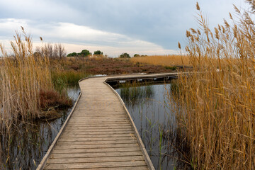 Naklejka premium View of a wooden walkway in the natural reserve of plants and birds La Marjal els Moros in the town of Puzol in Spain