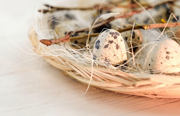 Naklejka na ściany i meble Fresh quail eggs in a wicker plate. Close-up abstract food natural background.