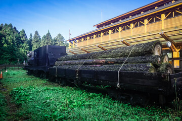 Old train in Alishan Natural Park