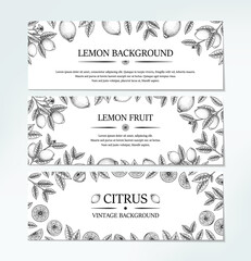 Set of hand drawn horizontal vintage lemon banners. Vector illustration in sketch style isolated on white. Print, package, card design.