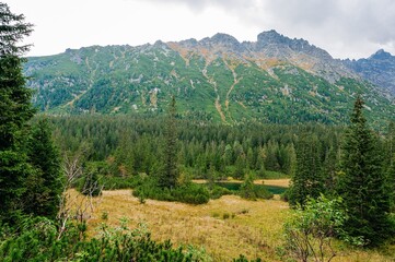 landscape in the maountains