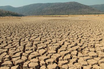 The drought land texture in Thailand. The global shortage of water on the planet. Global warming and greenhouse effect concept.