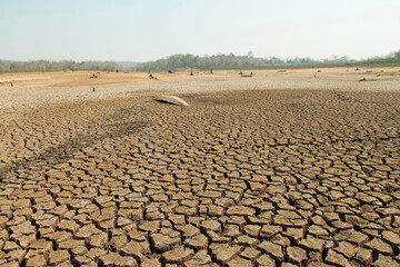 The drought land texture in Thailand. The global shortage of water on the planet. Global warming and greenhouse effect concept.