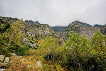 landscape in the maountains