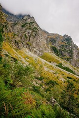 landscape in the mountains
