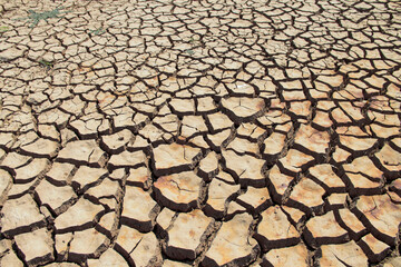 The drought land texture in Thailand. The global shortage of water on the planet. Global warming and greenhouse effect concept.