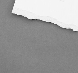 Ripped paper on gray background, space for advertising copy.