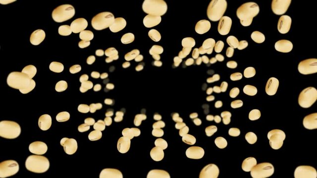 Flying many soybeans on black background. Light brown grains. Soya bean and soja. Healthy food. 3D loop animation of soy beans rotating.