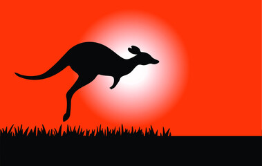 Fototapeta premium kangaroo vector illustration isolated on background