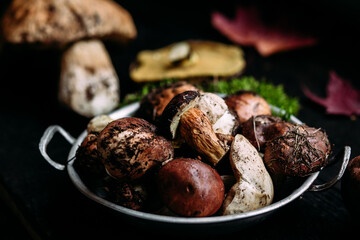 Fresh forest mushrooms  on the table. White mushroom, butter dish
