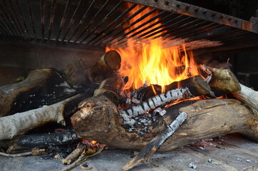 Big fire on the grill width wood. Recycle pruning wood.