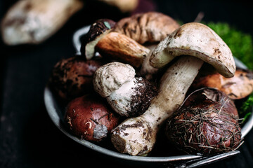 Fresh forest mushrooms  on the table. White mushroom, butter dish