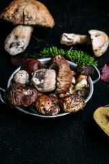 Fresh forest mushrooms  on the table. White mushroom, butter dish