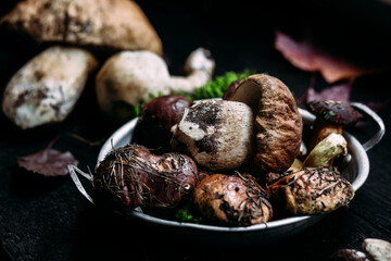 Fresh forest mushrooms  on the table. White mushroom, butter dish