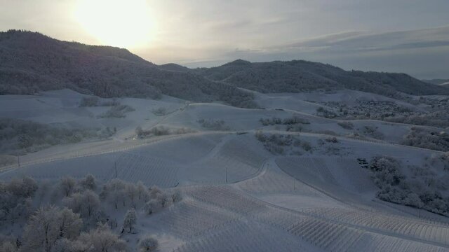 Snow-Covered Hills With Vineyard On Winter Sunset At Zell-Weierbach, Offenburg, Germany - Aerial Drone Shot, Pull-Back