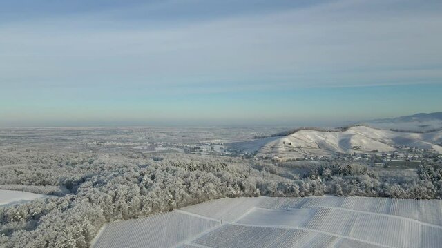 Aerial View Of Vineyard With Snow In Wintertime In Offenburg, Germany. wide drone shot