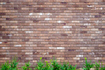 Brick wall background with green bushes. Building construction texture.
