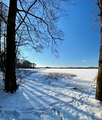 Fototapeta na wymiar Clay tongue covered with snow near Włodawa Poland snow rushes sunny day blue sky 