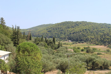 landscape with trees