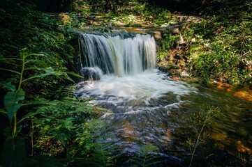 waterfall in the forest