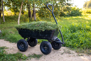 a garden cart on four wheels with cut grass. Summer, daylight